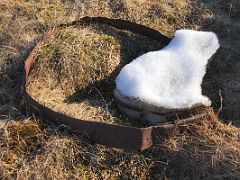 05B A Ring Off An Old Barrel On Our Archeological Walk On Bylot Island On Day 4 Of Floe Edge Adventure Nunavut Canada